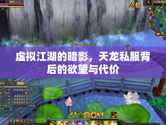 虚拟江湖的暗影，天龙私服背后的欲望与代价