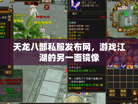 天龙八部私服发布网，游戏江湖的另一面镜像