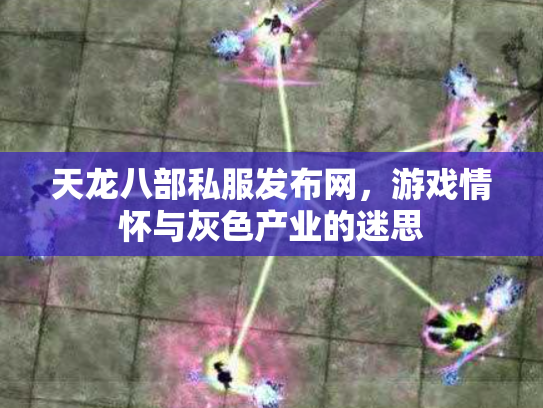 天龙八部私服发布网，游戏情怀与灰色产业的迷思