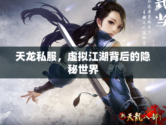 天龙私服，虚拟江湖背后的隐秘世界