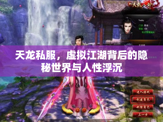 天龙私服，虚拟江湖背后的隐秘世界与人性浮沉