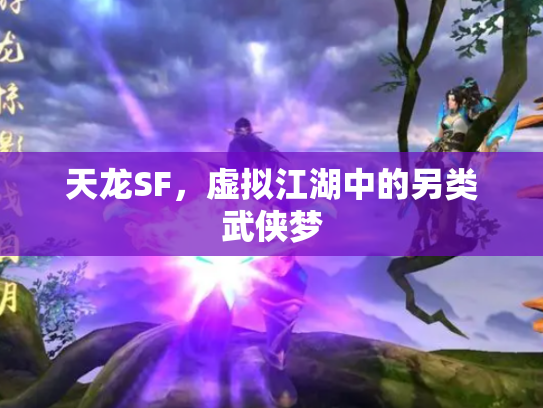 天龙SF，虚拟江湖中的另类武侠梦