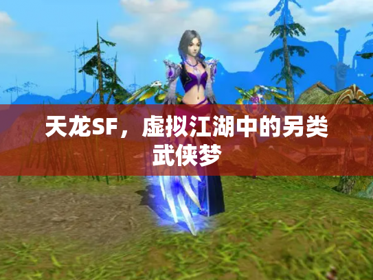 天龙SF，虚拟江湖中的另类武侠梦