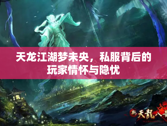 天龙江湖梦未央，私服背后的玩家情怀与隐忧