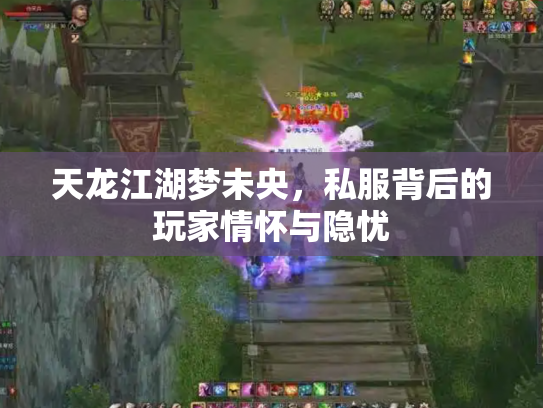 天龙江湖梦未央，私服背后的玩家情怀与隐忧