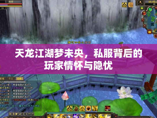天龙江湖梦未央，私服背后的玩家情怀与隐忧