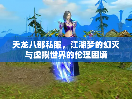 天龙八部私服，江湖梦的幻灭与虚拟世界的伦理困境