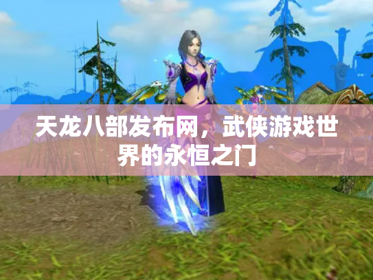 天龙八部发布网，武侠游戏世界的永恒之门