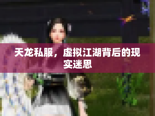 天龙私服，虚拟江湖背后的现实迷思
