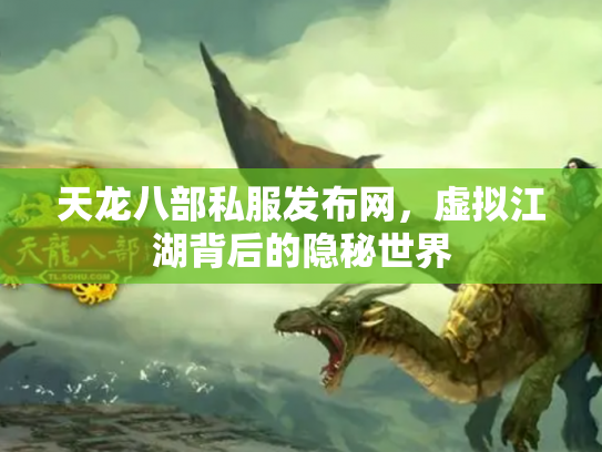 天龙八部私服发布网，虚拟江湖背后的隐秘世界