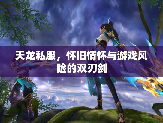 天龙私服，怀旧情怀与游戏风险的双刃剑