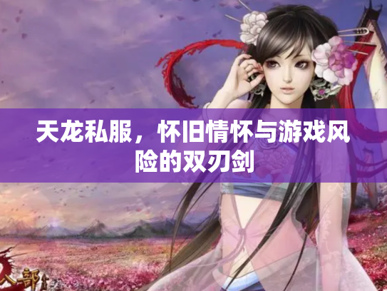 天龙私服，怀旧情怀与游戏风险的双刃剑