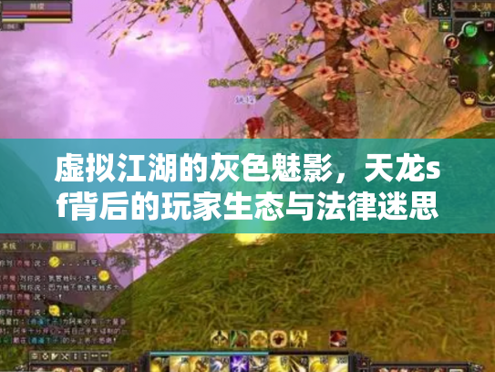 虚拟江湖的灰色魅影，天龙sf背后的玩家生态与法律迷思