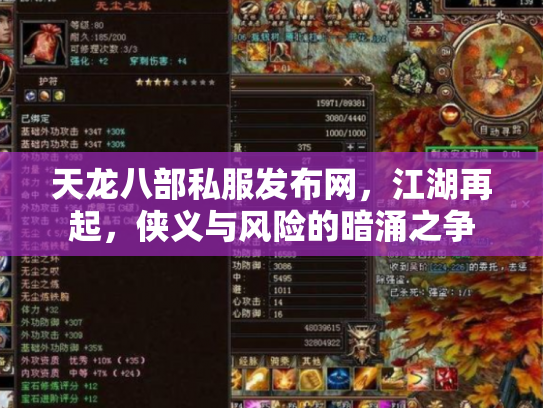 天龙八部私服发布网，江湖再起，侠义与风险的暗涌之争