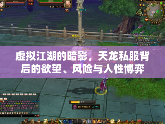 虚拟江湖的暗影，天龙私服背后的欲望、风险与人性博弈