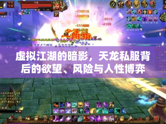 虚拟江湖的暗影，天龙私服背后的欲望、风险与人性博弈