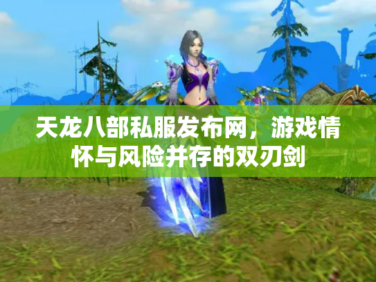 天龙八部私服发布网，游戏情怀与风险并存的双刃剑