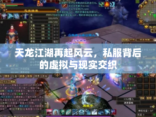 天龙江湖再起风云，私服背后的虚拟与现实交织