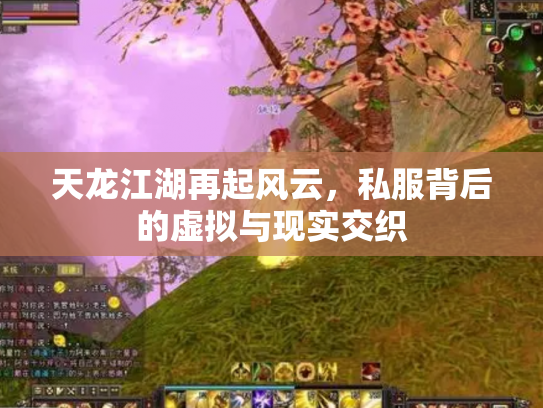 天龙江湖再起风云，私服背后的虚拟与现实交织
