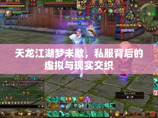 天龙江湖梦未歇，私服背后的虚拟与现实交织
