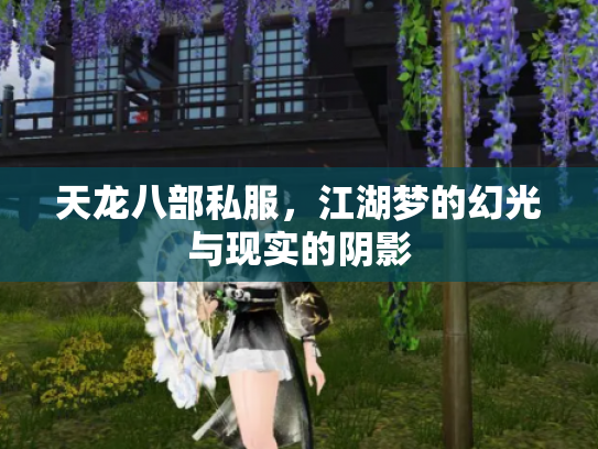 天龙八部私服，江湖梦的幻光与现实的阴影