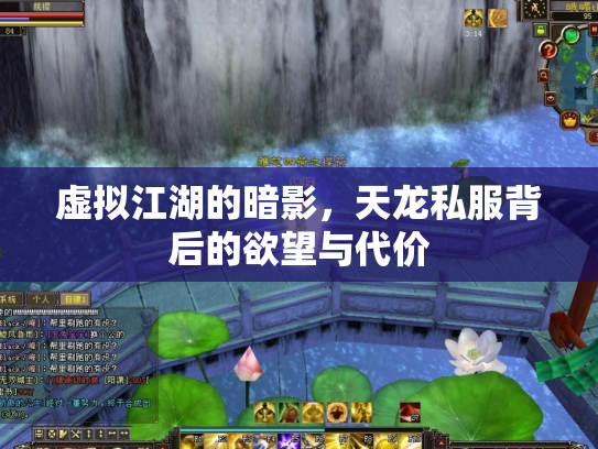 虚拟江湖的暗影，天龙私服背后的欲望与代价