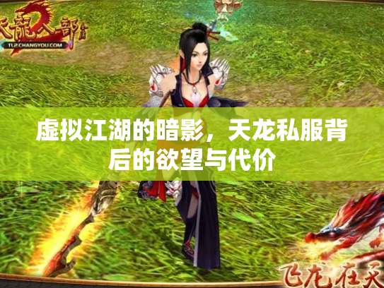 虚拟江湖的暗影，天龙私服背后的欲望与代价