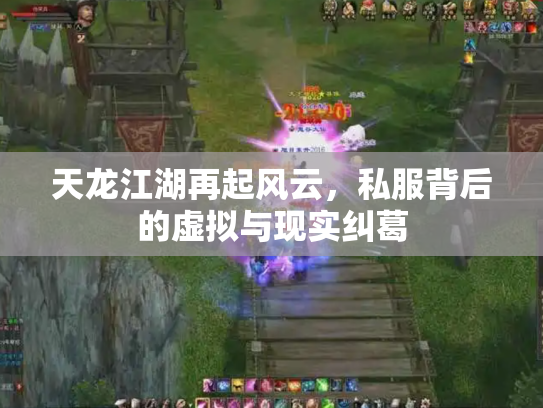 天龙江湖再起风云，私服背后的虚拟与现实纠葛
