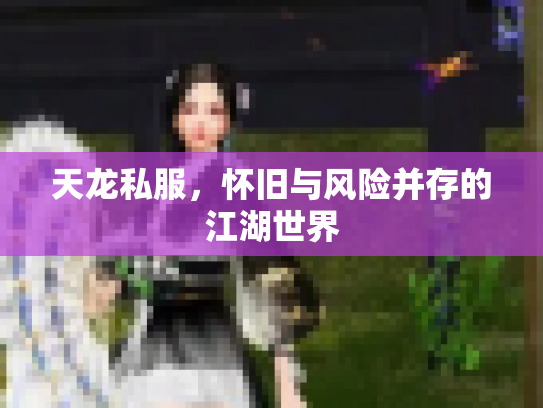天龙私服，怀旧与风险并存的江湖世界
