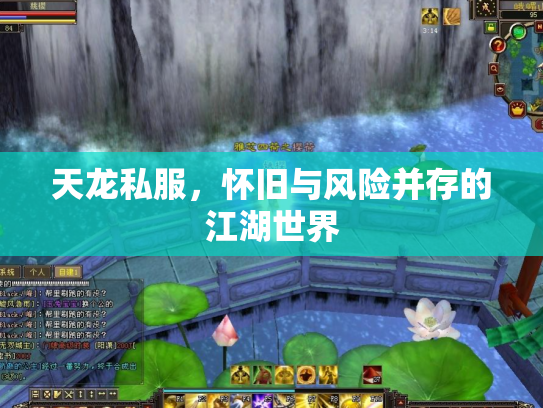 天龙私服，怀旧与风险并存的江湖世界