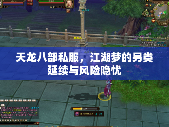 天龙八部私服，江湖梦的另类延续与风险隐忧