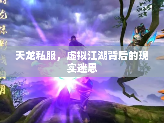 天龙私服，虚拟江湖背后的现实迷思