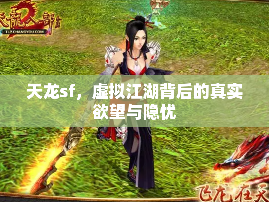 天龙sf，虚拟江湖背后的真实欲望与隐忧