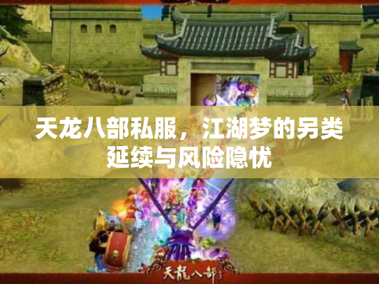 天龙八部私服，江湖梦的另类延续与风险隐忧