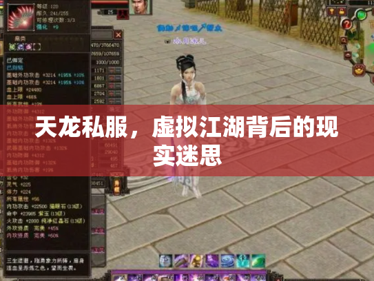 天龙私服，虚拟江湖背后的现实迷思