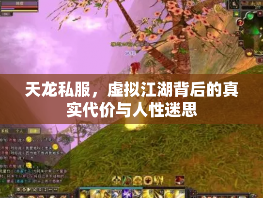 天龙私服，虚拟江湖背后的真实代价与人性迷思