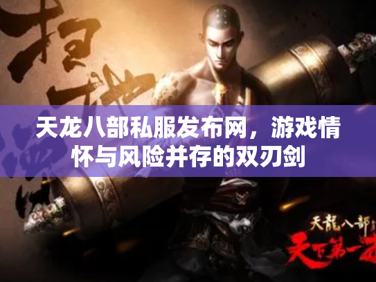 天龙八部私服发布网，游戏情怀与风险并存的双刃剑