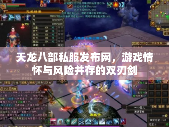 天龙八部私服发布网，游戏情怀与风险并存的双刃剑
