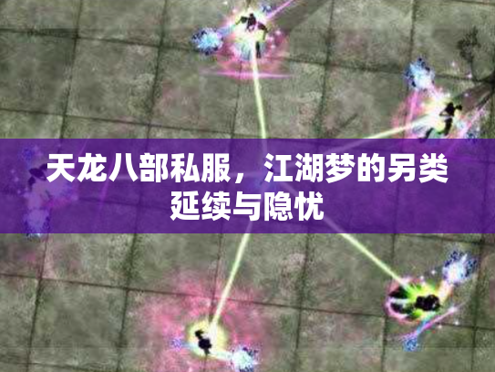 天龙八部私服，江湖梦的另类延续与隐忧