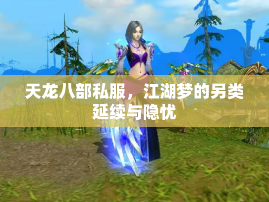天龙八部私服，江湖梦的另类延续与隐忧