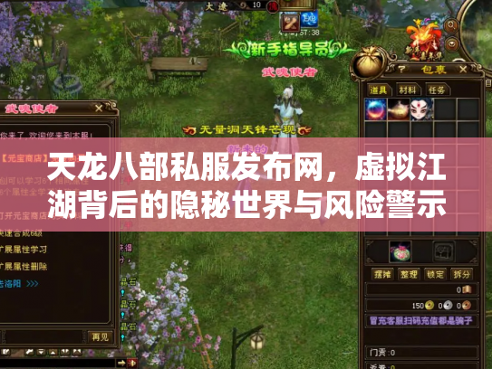 天龙八部私服发布网，虚拟江湖背后的隐秘世界与风险警示