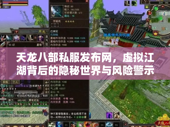 天龙八部私服发布网，虚拟江湖背后的隐秘世界与风险警示