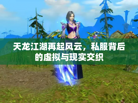 天龙江湖再起风云，私服背后的虚拟与现实交织
