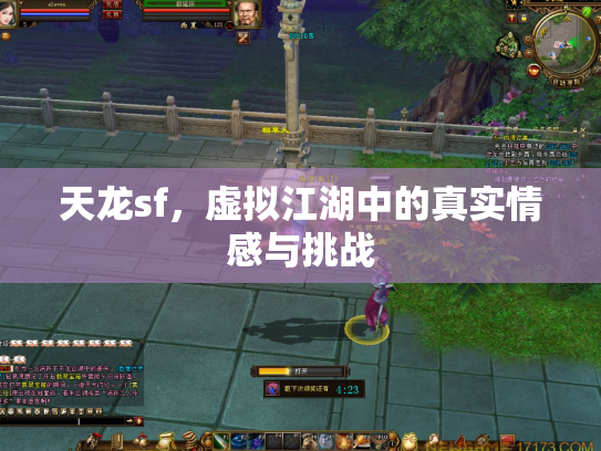 天龙sf，虚拟江湖中的真实情感与挑战