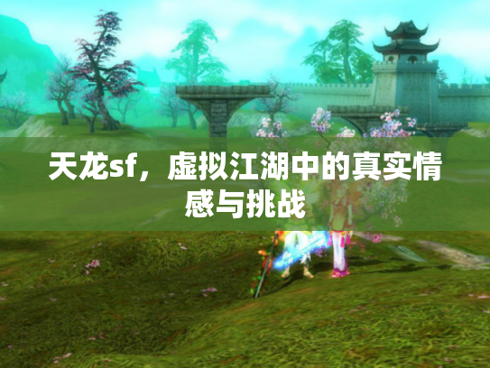 天龙sf，虚拟江湖中的真实情感与挑战