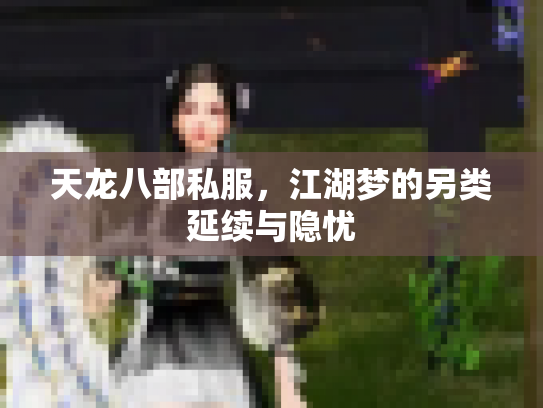 天龙八部私服，江湖梦的另类延续与隐忧