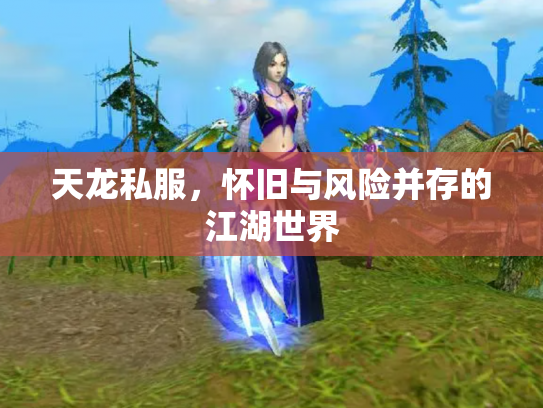 天龙私服，怀旧与风险并存的江湖世界