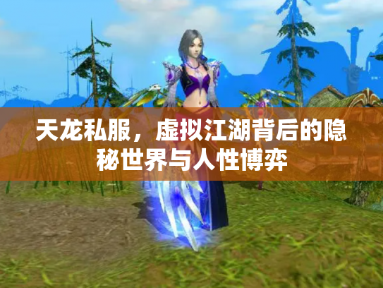 天龙私服，虚拟江湖背后的隐秘世界与人性博弈