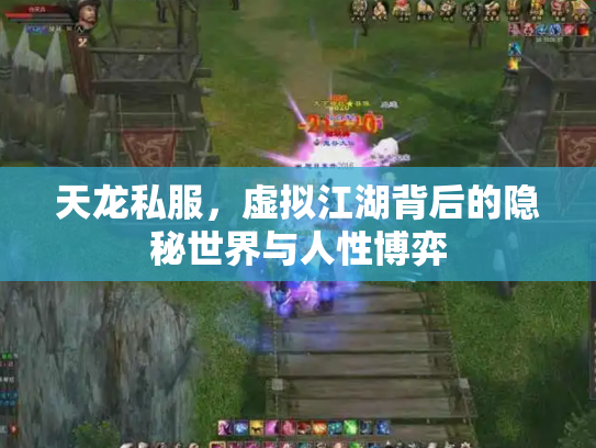 天龙私服，虚拟江湖背后的隐秘世界与人性博弈