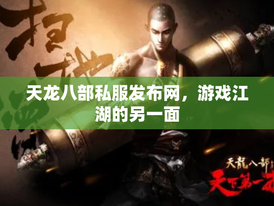 天龙八部私服发布网，游戏江湖的另一面